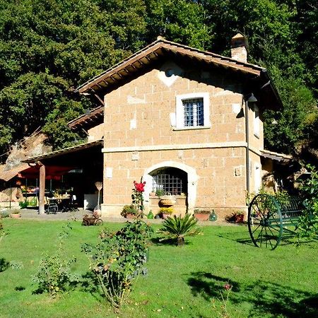 Agriturismo La Sorgente Di Nepi Otel Dış mekan fotoğraf