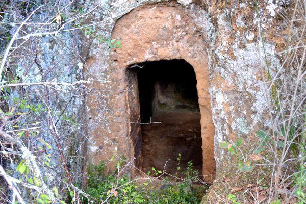 Agriturismo La Sorgente Di Nepi Otel Dış mekan fotoğraf
